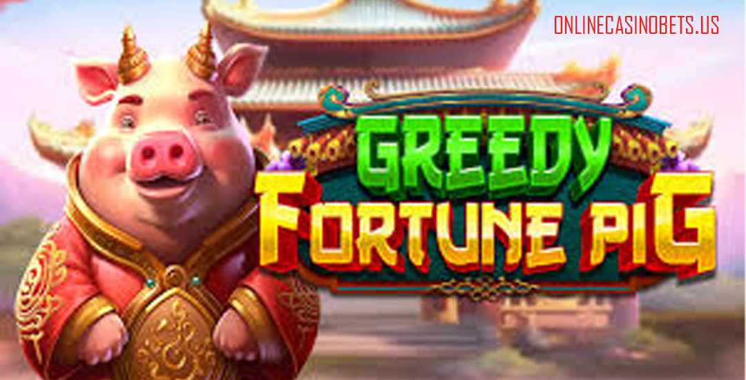 Greedy Fortune Pig